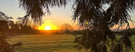 Walking into Winter: A seasonal nature connection and foraging walk