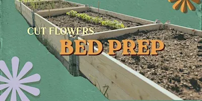 Cut Flowers- Building the Foundation