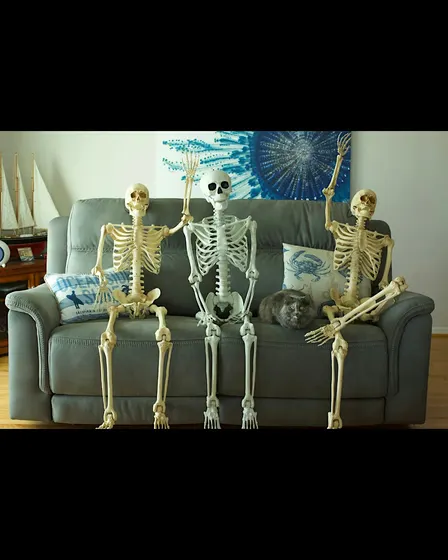 Know your Bones - All Abilities Family program, FREE PROGRAM