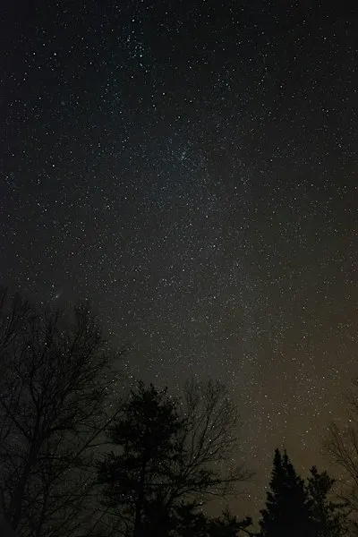 Stargazing 101: Discover the Night Sky