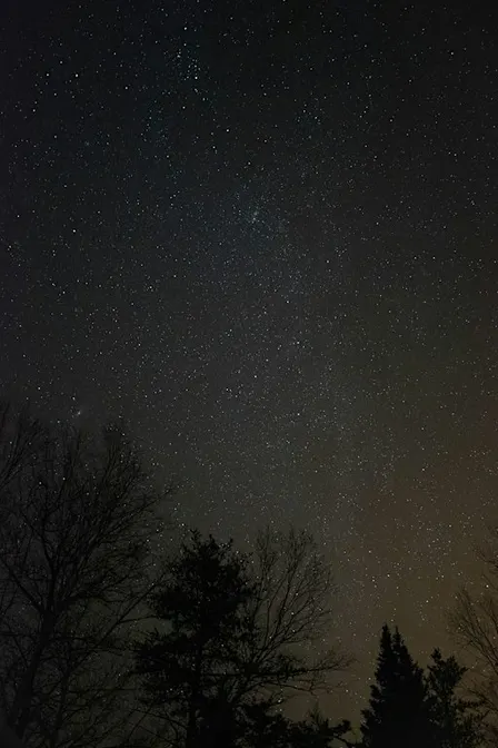 Stargazing 101: Discover the Night Sky