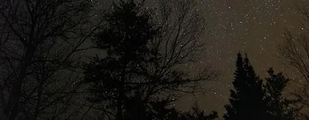 Stargazing 101: Discover the Night Sky