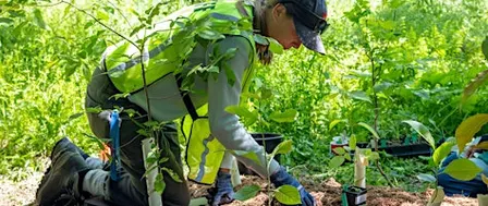 Fall Planting Event
