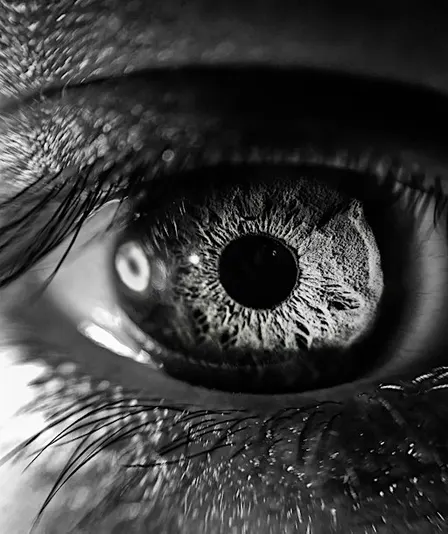Eye of the Monster & Story Ceilidh