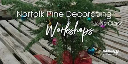 Northfolk Pine Decorating | KIDS Workshop | Sherwood Park
