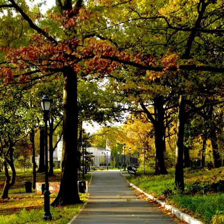 Opening Reception: Van Cortlandt Park in Pictures by Billy Cleary
