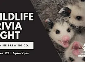 Wildlife Trivia Night w/ Nebraska Wildlife Rehab