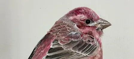Watercolor Painting Class
