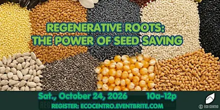 Regenerative Roots: the Power of Seed Saving