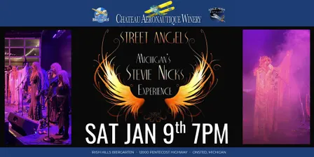 Stevie Nicks Tribute by Street Angel