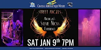 Stevie Nicks Tribute by Street Angel