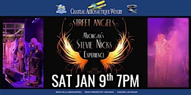 Stevie Nicks Tribute by Street Angel