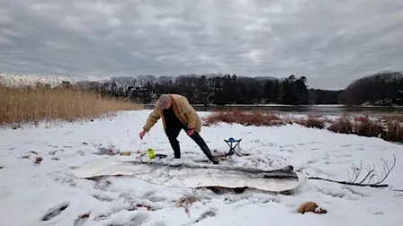 Salt Marsh Film Screening + Artist Discussion