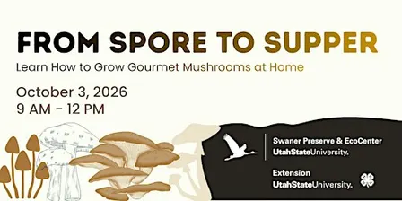From Spore to Supper