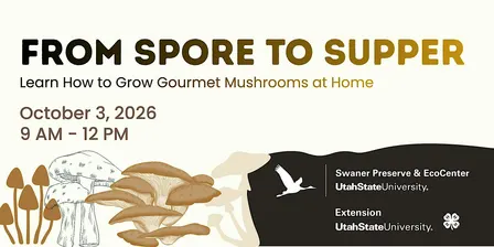 From Spore to Supper
