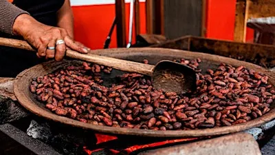 Cacao Counsel - TRADITION - Honoring Ancestral Wisdom