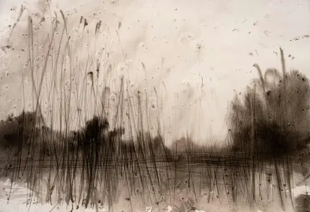 Drawing Workshop with Artist Mitchell Rasor