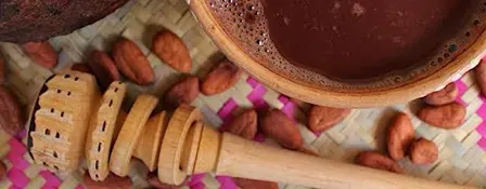 SEED - The Sacred Life of Chocolate