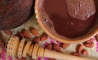 Cacao Counsel - SEED - The Sacred Life of Chocolate