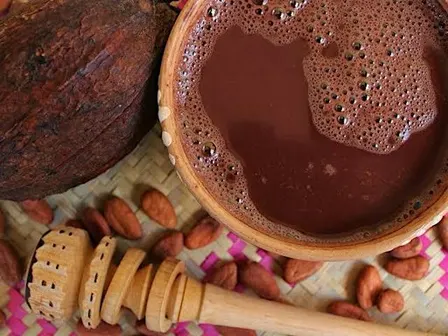 Cacao Counsel - SEED - The Sacred Life of Chocolate