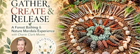 Gather, Create & Release - A Forest Bathing and Nature Mandala Experience