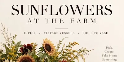 Sunday Morning Sunflowers