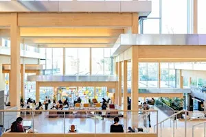 Mass Timber Structural Products and Framing Systems, St Louis, MO