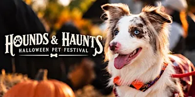 HOUNDS & HAUNTS