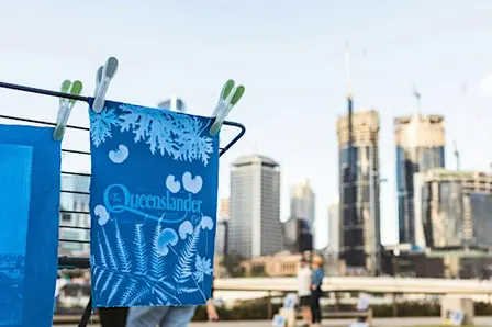Cyanotype 101