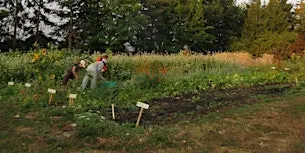 Color on the Farm
