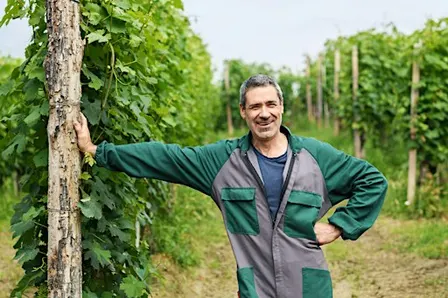A Snapshot of Serralunga with Guido Porro