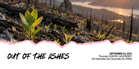 Out of the Ashes