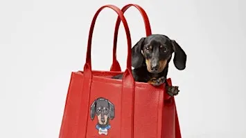 BARK JACOBS