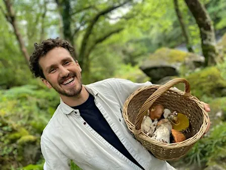Edible and Medicinal Mushroom Foraging