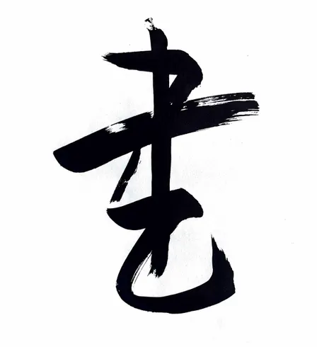 SHODŌ la via del segno VISITE GUIDATE GRATUITE