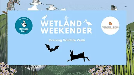 Wetland Weekender: Evening Wildlife Walk