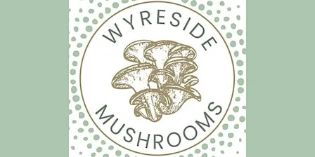 Family Fun-gi Day: Grow your Own Mushrooms