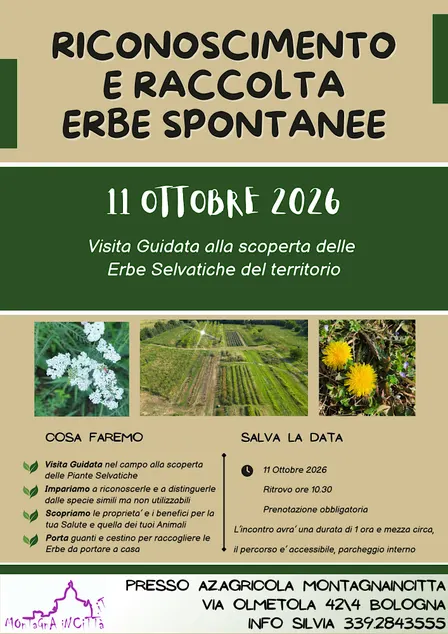 RICONOSCIMENTO E RACCOLTA ERBE SPONTANEE