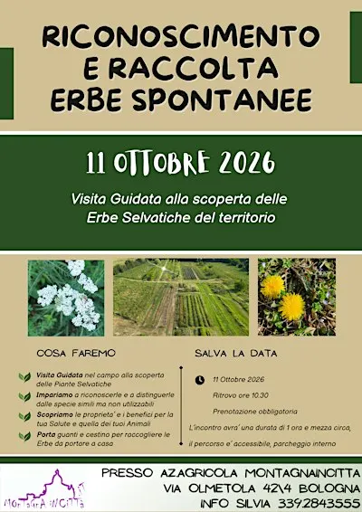 RICONOSCIMENTO E RACCOLTA ERBE SPONTANEE