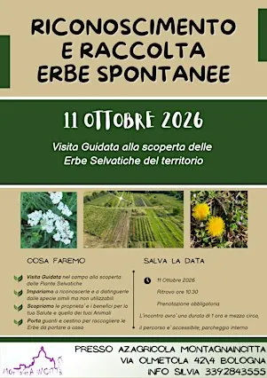 RICONOSCIMENTO E RACCOLTA ERBE SPONTANEE