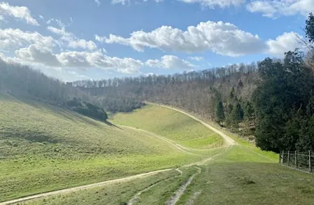 Archaeology Walk, Arundel Park