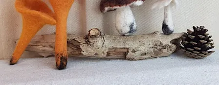 Funky Fungi wetfelting class