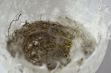 NATURverbunden - In künstlerischer Vielfalt