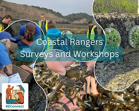 Coastal Rangers - Intro to Citizen Science Methodology - Scarborough