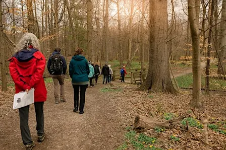 Forest Bathing Walk at Ault Park