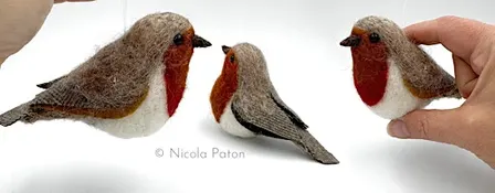 Felted Robin workshop