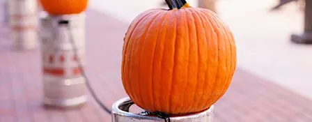 Pumpkin Patch & Fall Fun Fest
