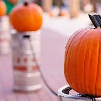 Pumpkin Patch & Fall Fun Fest