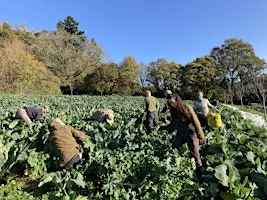 Teign Greens October Volunteer Morning!