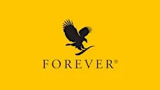 The Power of Forever-Edmonton